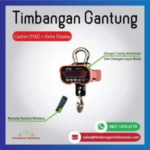 Caston (THZ) Crane Scale