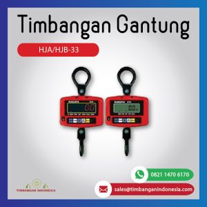 HJA/HJB-33 60kg~2.5t Crane Scale