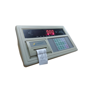 Indikator Timbangan Weighing Indicator - A9+P