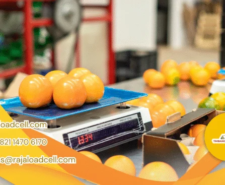 Timbangan Buah Digital