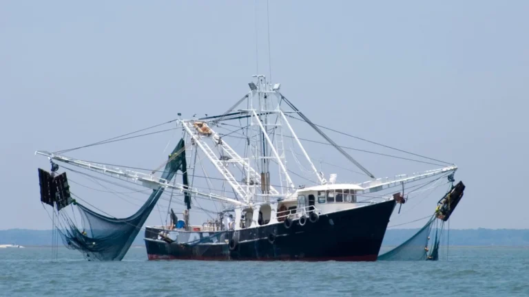 Fishery & Marine